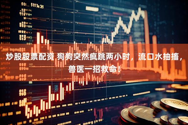 炒股股票配资 狗狗突然疯跳两小时，流口水抽搐，兽医一招救命！