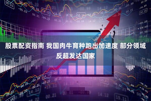 股票配资指南 我国肉牛育种跑出加速度 部分领域反超发达国家